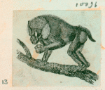 Volume 3, p.45