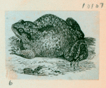 Volume 3, p.46