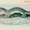Volume 3, p.46