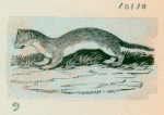Volume 3, p.46
