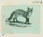 Volume 3, p.46