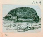Volume 3, p.46