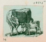 Volume 3, p.46
