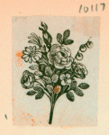 Volume 3, p.47