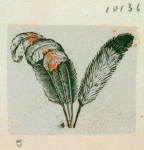 Volume 3, p.48
