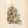 Great Britain, 1861-88
