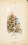 Great Britain, 1861-88