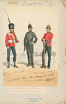 Great Britain, 1861-88