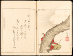 Taira no Tadanori
