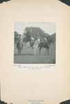Great Britain, Colonies, Indian Army (3)