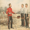 Great Britain, 1861-88
