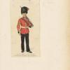 Colour Sergt., Foot Guards (Governor-General of Canada's)