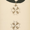 Great Britain, Decoration