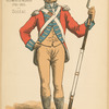 Great Britain, Miscellaneous