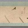Scroll 5