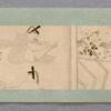 Scroll 5