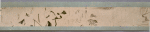 Scroll 6
