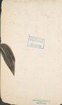 Great Britain, Colonies, Indian Army (4)