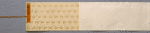 Scroll 1