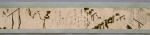 Scroll 3
