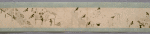 Scroll 3