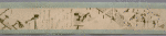 Scroll 3