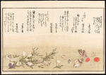 Shiohi no tsuto