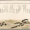 Shiohi no tsuto