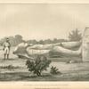 Colossal statue in the island of Argo.