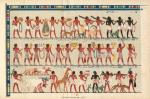 Grand Procession. Part 1. [From a Tomb at Thebes]