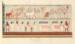 Grand Procession. Part 3. From a Tomb at Thebes.