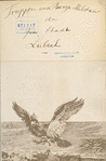 Germany, Hohenzollern, 1808-1849; Lubeck, 1750-1768