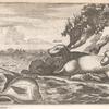 No less wonderful is the Fish Manate, whole shape hath been describ'd elsewere ...