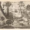 Plants and Animals of St. Martin.