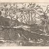 Plants of St. Bartholomew.