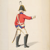 Germany, Saxony, 1804-1806