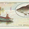 Bream fishing on the Broads.