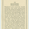Badgers.