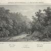 Schooley's Springs.