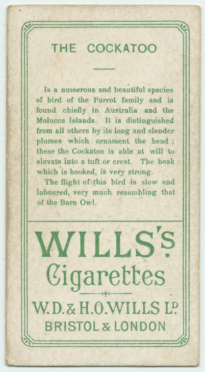 Index