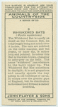 Whiskered Bats.
