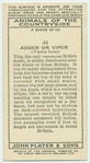 Adder or Viper.