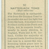 Natterjack Toad.