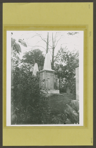Photographic views of New York City, 1870's-1970's, from the collections of the New York Public Library. Supplement.