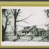 Fox Corners