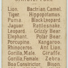 Ant Lion.