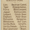 Elephant.