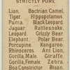 Gorilla, Female.