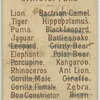 Hippopotamus.