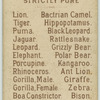 Lion.